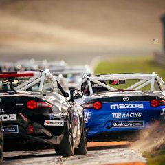 Mazda MX-5 Cup - TDB Racing Academy